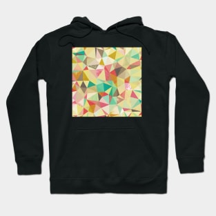 Shards Hoodie